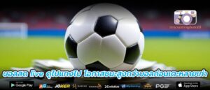 บอลสด live ดูไปแทงไป โอกาสชนะสูงกว่าบอลก่อนเตะหลายเท่า